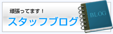 白金・恵比寿・広尾の賃貸不動産ことジェイネットワークjnetに勤めるスタッフブログ